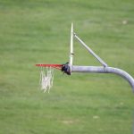 种子搜搜:探索无限资源的智能搜索平台 4nsqj3