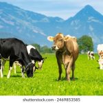 种子搜索在线:轻松找到你想要的资源与信息 84b4z9