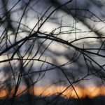 畅享5gbuzz影院:探索最新热门影片与精彩影评 kouist2k