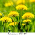 福利电影在线观看无删减:畅享无障碍观影体验,尽情感受精彩内容 obqyus022