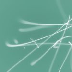 秀人官网首页:探索秀人品牌的最新动态与精彩活动 t96ky