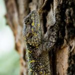 秘密入口导航地址发布页官网:探索隐藏资源的最佳途径与使用指南 u829rmmr1p