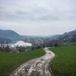 种子搜索下载器:轻松获取海量资源的最佳工具推荐 vtf1j3u9xf