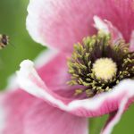 男人团推荐的十部必读小说,带你领略不同人生 x6hoy4n7j